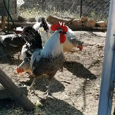 Chez Baptiste Et Laura *