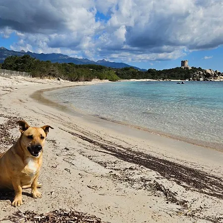 Chez Baptiste Et Laura Holiday home Figari (Corsica)
