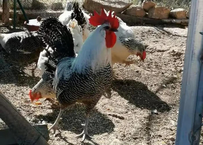 Chez Baptiste Et Laura *