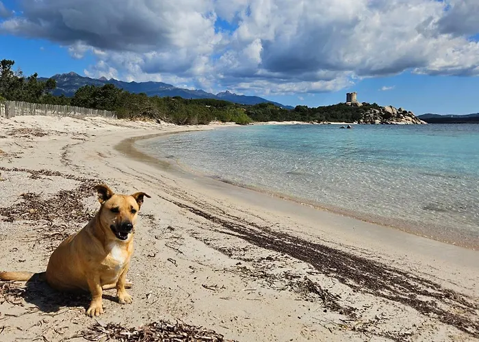 Chez Baptiste Et Laura Holiday home Figari (Corsica)